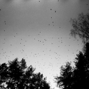 Listen to Победить song with lyrics from Clych