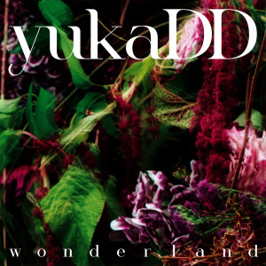 ดาวน์โหลดและฟังเพลง wonderland พร้อมเนื้อเพลงจาก yukaDD