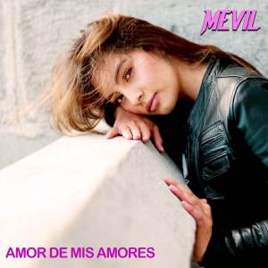 收聽Mevil的Amor De Mis Amores歌詞歌曲