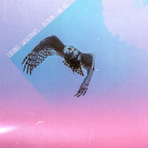 ดาวน์โหลดและฟังเพลง four0four พร้อมเนื้อเพลงจาก No Mic