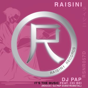 Listen to It's the Music (Rocco Deeptro Dubstrumental Mix) song with lyrics from DJ Pap