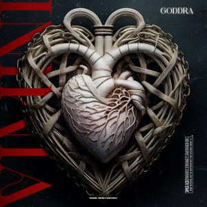 Album Vimini (Explicit) from Goddra