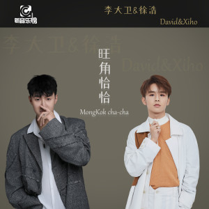 Listen to 旺角恰恰 (完整版) song with lyrics from 李大卫