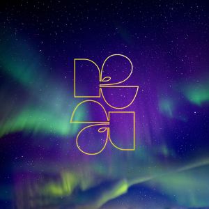 Rosa Ama的專輯Night Sky