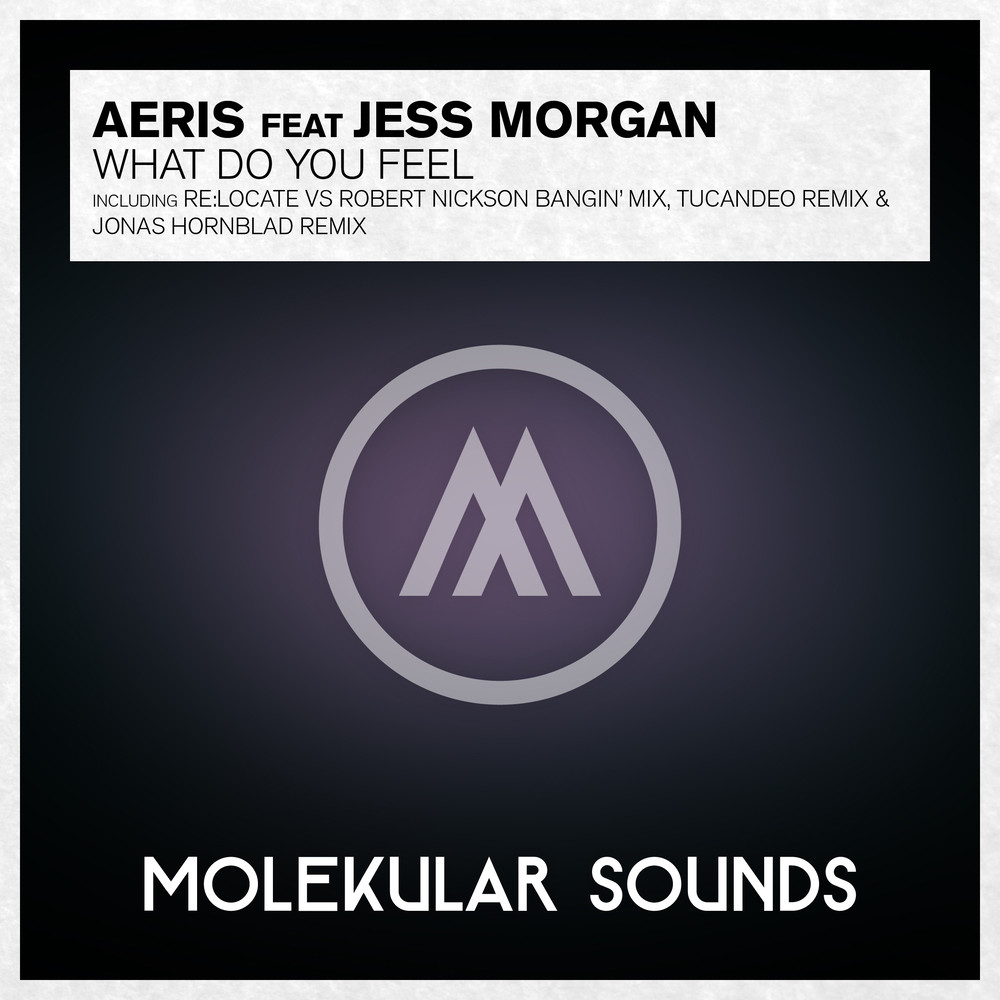 What Do You Feel? (Mark Doyle Remix)
