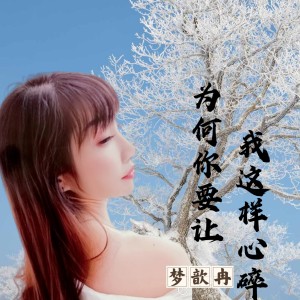 Listen to 为何你要让我这样心碎（DJ梦梦版） (完整版) song with lyrics from 梦歆冉