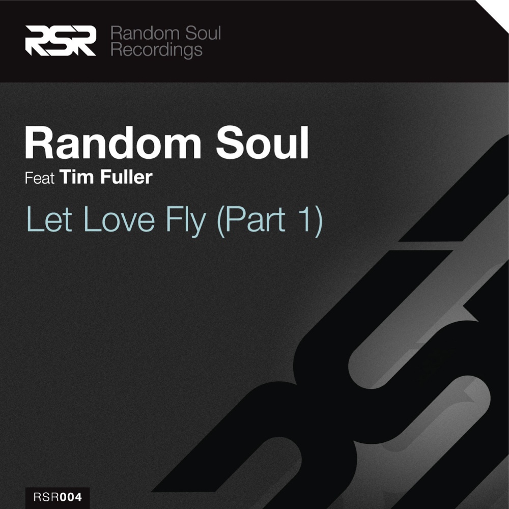 Let Love Fly (Vernon & Dacosta Rub)