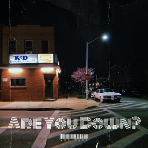 Listen to Are You Down? (Explicit) song with lyrics from Wes Mane