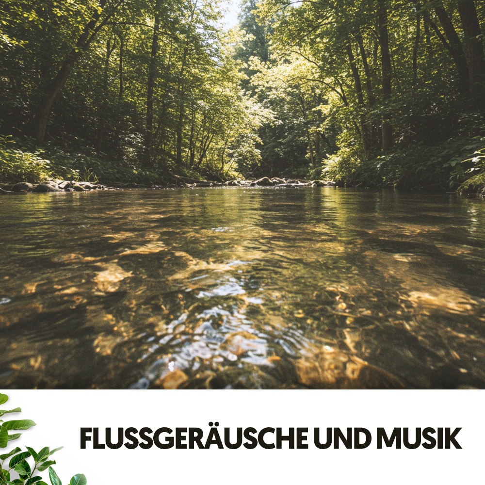 Melodies in Motion: River Edition