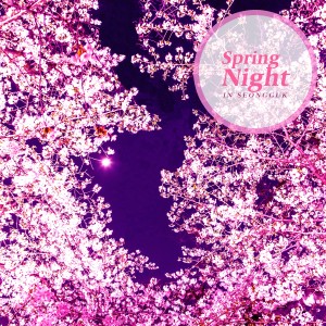 อัลบัม Spring Night ศิลปิน In Seongguk