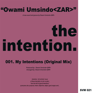 Listen to The Intention (Original Mix) song with lyrics from Owami Umsindo