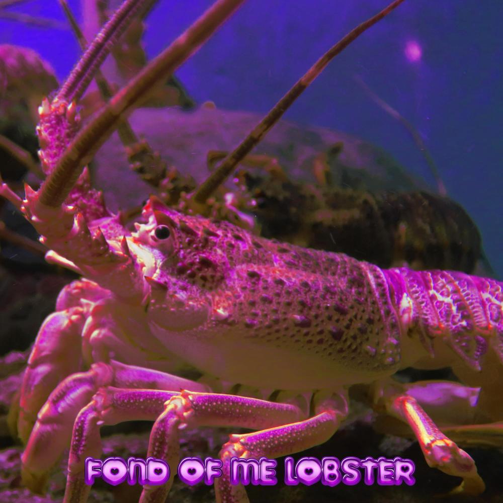 FOND OF ME LOBSTER (Explicit)