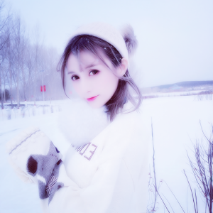 Listen to 千年等一回 (DJ) song with lyrics from 叶景秋