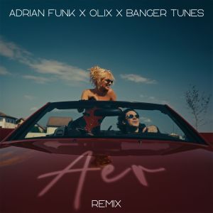 Listen to Aer (Remix) song with lyrics from Adrian Funk