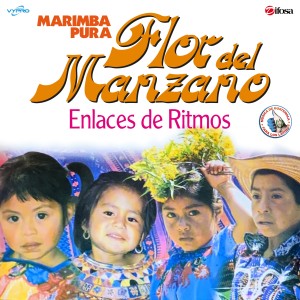 Marimba Flor del Manzano的專輯Enlaces de Ritmos. Música de Guatemala para los Latinos