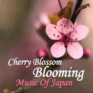 Listen to Soran Bushi song with lyrics from Spirit