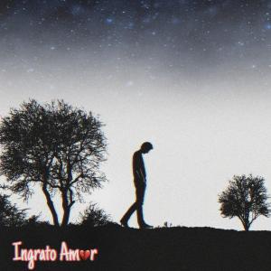 Album Ingrato Amor oleh Gerardo Narez