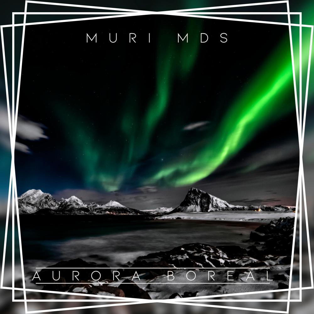 Aurora Boreal (feat. V.I.P.N) (Explicit)