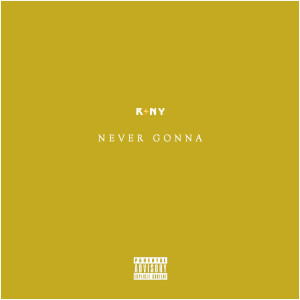 收聽RSNY的Never Gonna (Explicit)歌詞歌曲