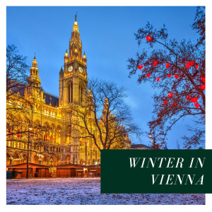 อัลบัม Winter in Vienna ศิลปิน Erich Kunzel