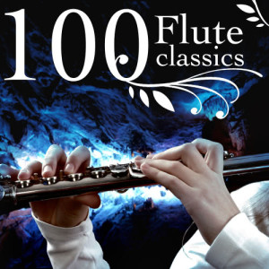 收聽Johann Joachim Quantz的Concerto For Flute, Bassoon, Strings, And B.C. In G Major - II. Adagietto (With Bassoon Solo) (Bassoon Solo)歌詞歌曲
