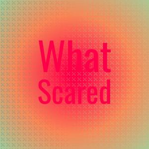 收聽Dren Pman的Advisable Assortment歌詞歌曲