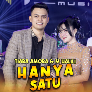 Tiara Amora的专辑Hanya Satu