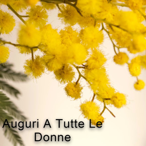 Album Auguri A Tutte Le Donne from Various