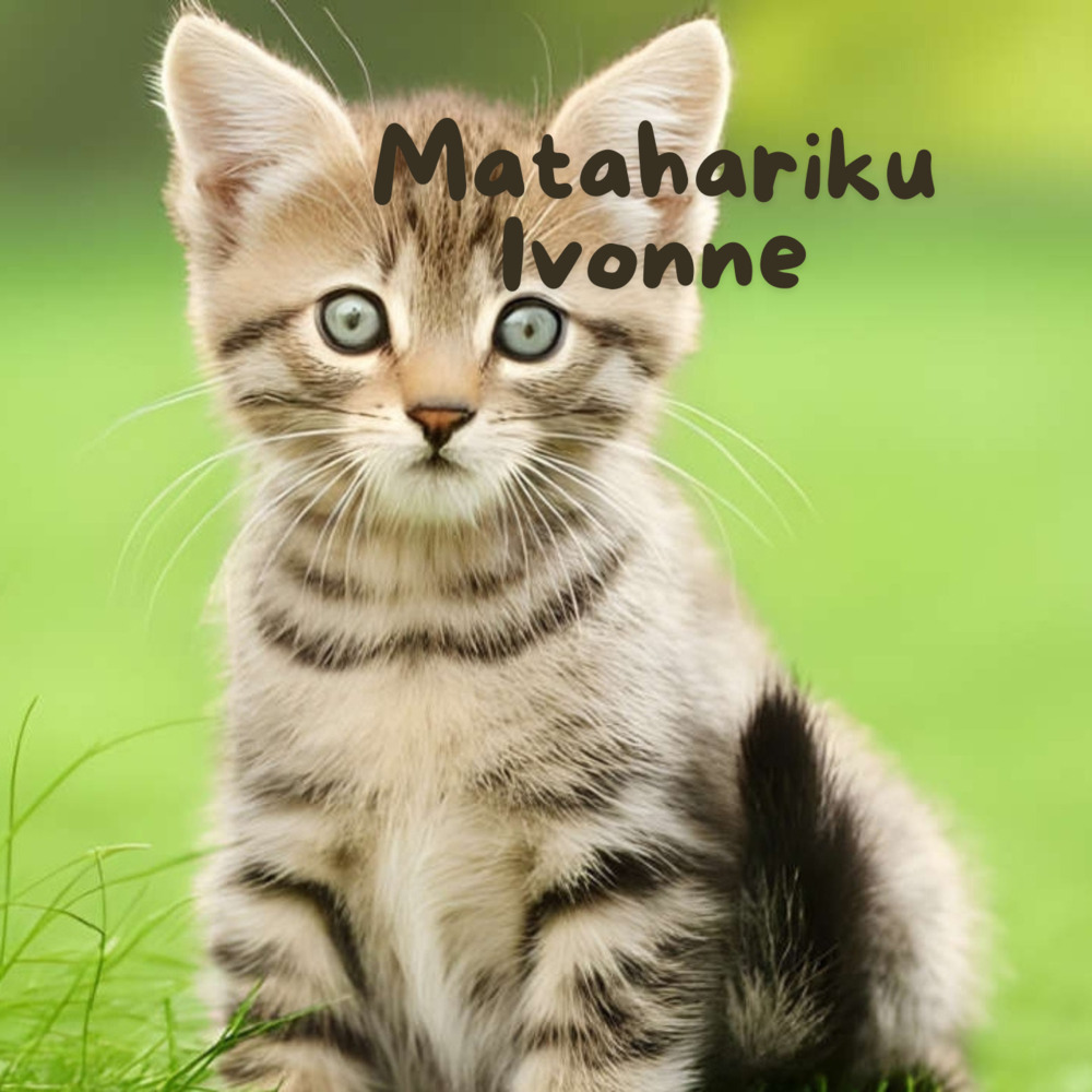 Matahariku