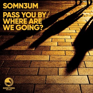 ดาวน์โหลดและฟังเพลง Pass You By (Radio Edit) พร้อมเนื้อเพลงจาก Somn3um