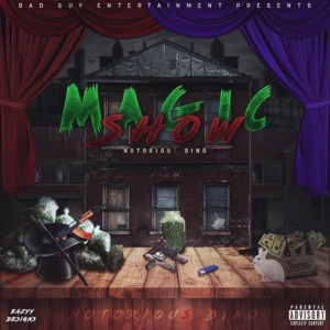 Album Magic Show (Explicit) from 