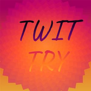 Album Twit Try from Various