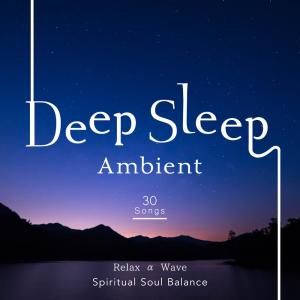Deep Sleep Ambient - Spiritual Soul Balance dari Relax α Wave