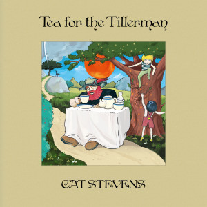 收聽Cat Stevens的Wild World (Remastered 2020)歌詞歌曲