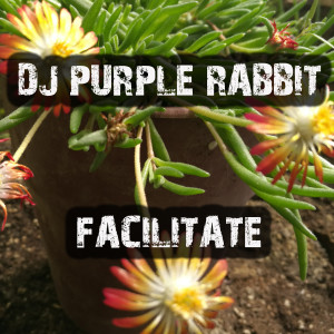 Album Facilitate from DJ Purple Rabbit