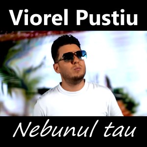 Listen to Nebunul tau song with lyrics from Viorel Pustiu