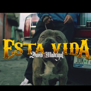 收聽Davis Madrigal的Está vida (Explicit)歌詞歌曲