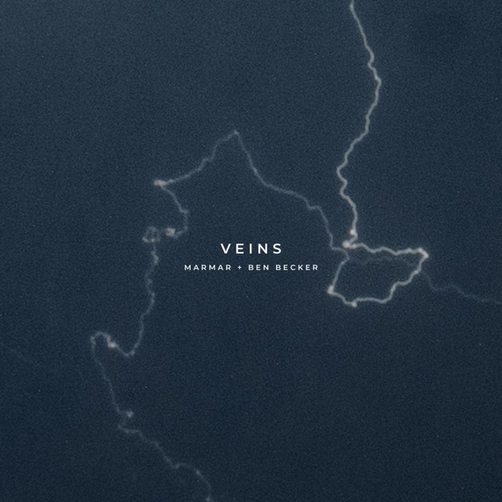 Veins