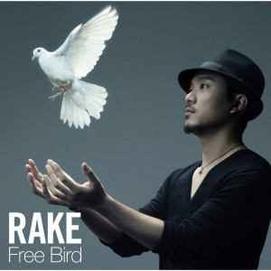收聽Rake的Free Bird歌詞歌曲