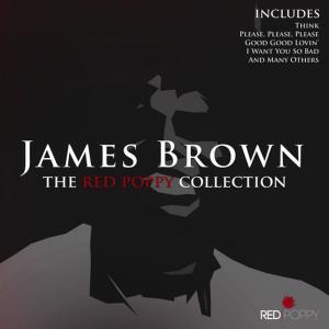 ดาวน์โหลดและฟังเพลง You've Got the Power พร้อมเนื้อเพลงจาก James Brown