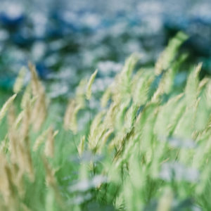 Mora Alfmarsson的專輯Until We See Again