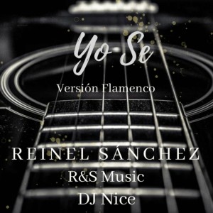 อัลบัม Yo Se (Versión Flamenco) ศิลปิน DJ Nic-E