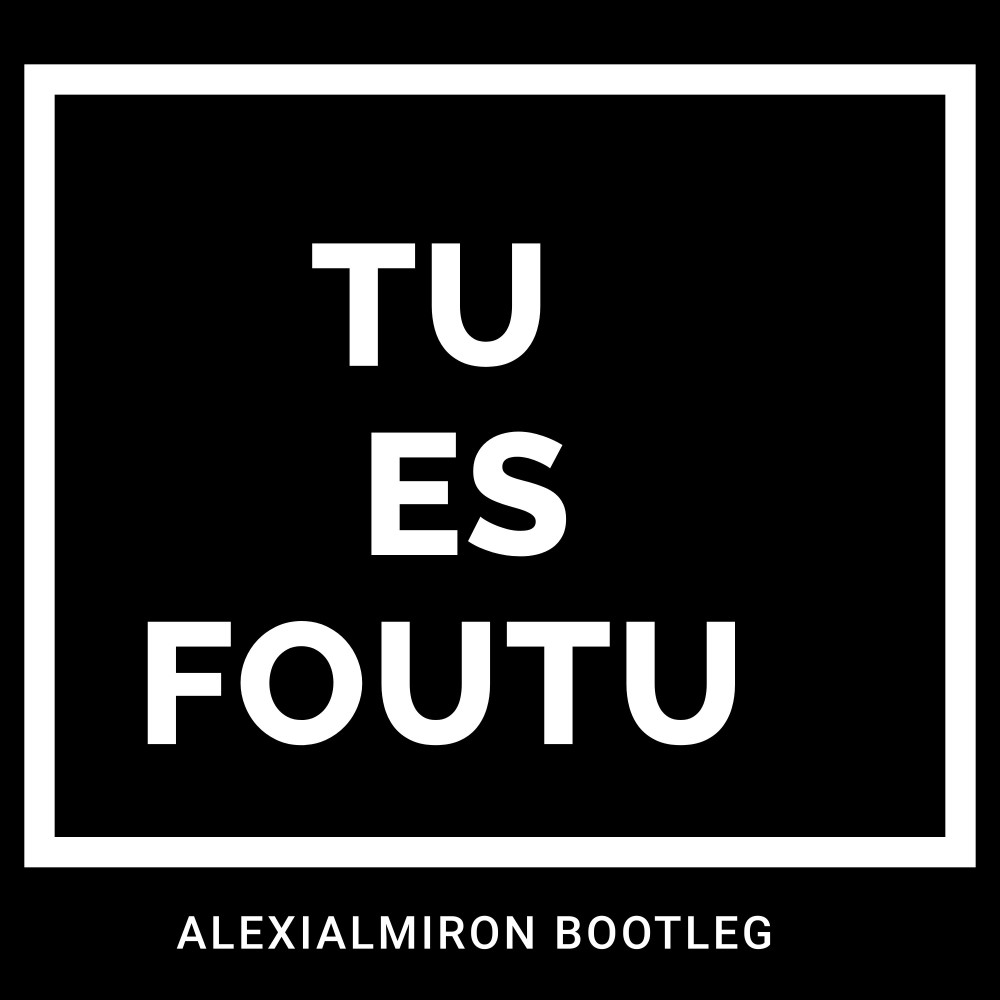 Tu Es Foutu (Remix)