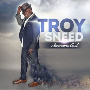 收聽Troy Sneed的You Are Awesome (Awesome God)歌詞歌曲