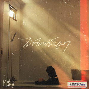 ดาวน์โหลดและฟังเพลง ไม่ต้องกลับมา พร้อมเนื้อเพลงจาก Millless