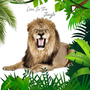 Album Lion in the Jungle oleh Alex Lavish