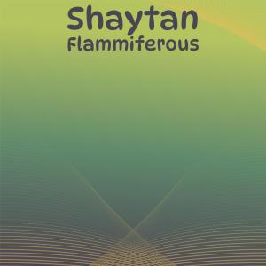 Various Artists的專輯Shaytan Flammiferous