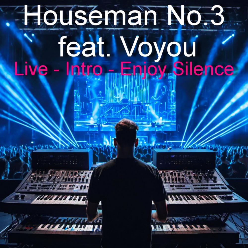 Intro (Enjoy Silence) (feat. Voyou) (Live)