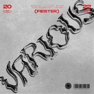 Listen to VARIOUS song with lyrics from Fiester