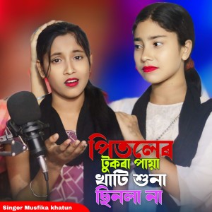 Listen to Pitoler Tukra Paya Khati Shuna Sinlana song with lyrics from Musfika Khatun